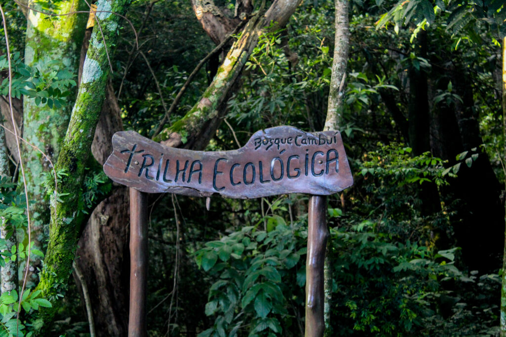 Trilha ecológica São Carlos